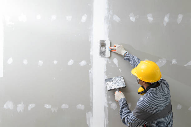 Best Drywall Removal and Disposal  in Monroe, WI