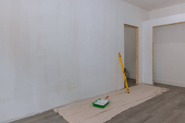 Best Drywall Sanding and Smoothing  in Monroe, WI